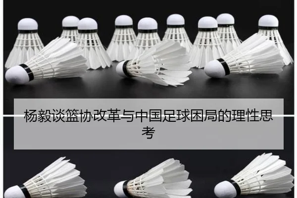 杨毅谈篮协改革与中国足球困局的理性思考